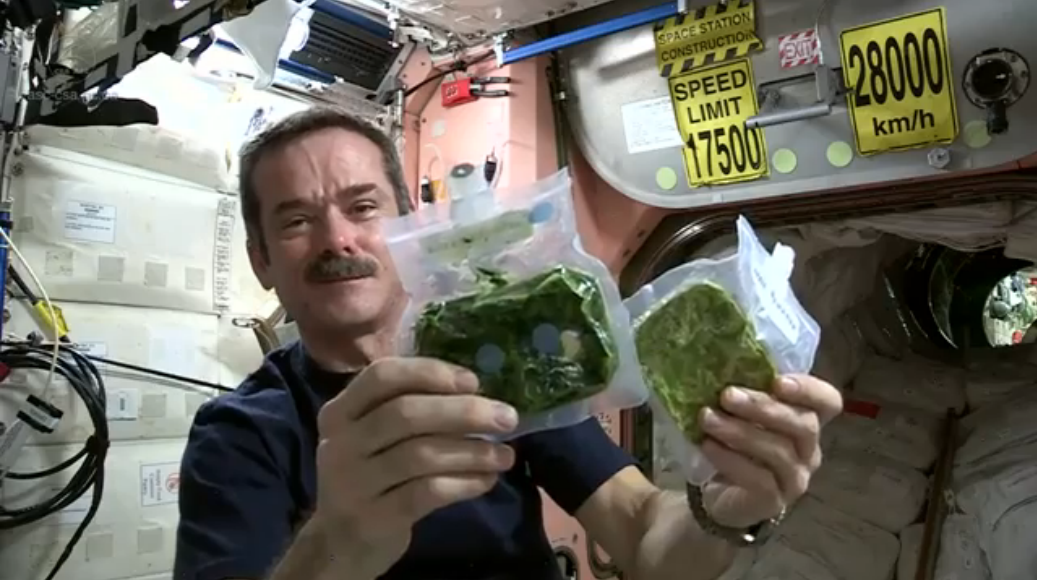 SpaceSpinach