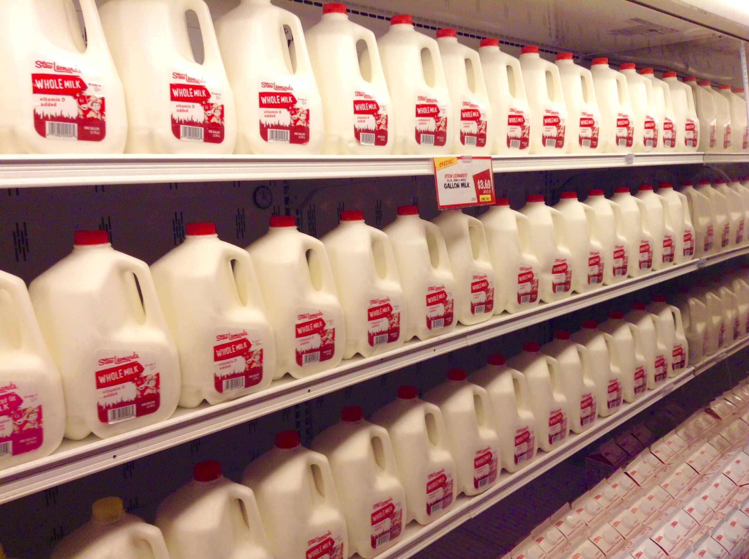 Gives milk. Milk Shelf Life. Whole Milk.
